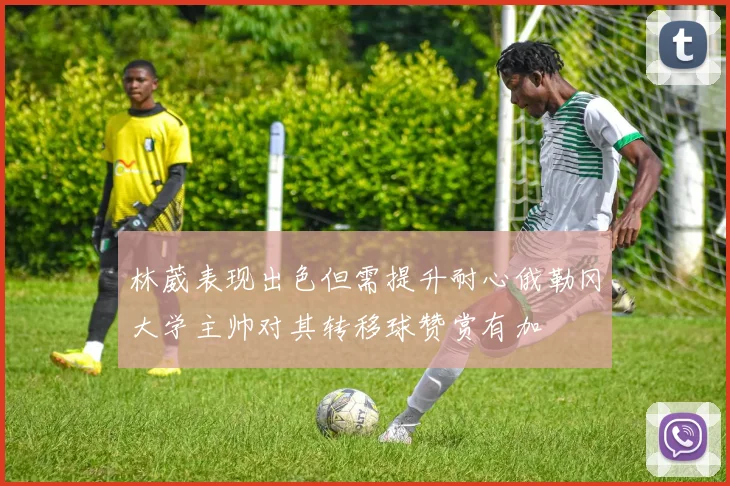 林葳表现出色但需提升耐心俄勒冈大学主帅对其转移球赞赏有加